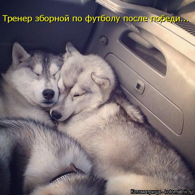 Тренер зборной по футболу после победи...... Котоматрица: Тренер зборной по футболу после победи...