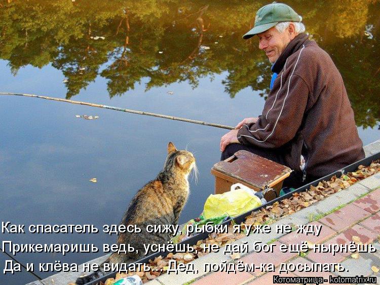 Котоматрица: Как спасатель здесь сижу, рыбки я уже не жду Прикемаришь ведь, уснёшь, не дай бог ещё нырнёшь Да и клёва не видать... Дед, пойдём-ка досыпать.