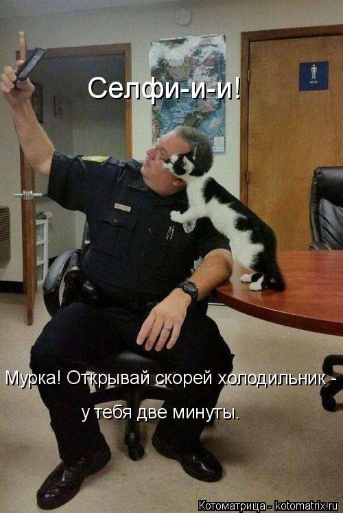 Селфи-и-и! Мурка! Открывай скорей холодильник - у тебя две минуты.... Котоматрица: Селфи-и-и! Мурка! Открывай скорей холодильник - у тебя две минуты.