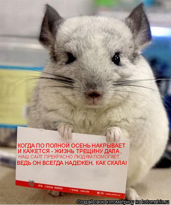 КОГДА ПО ПОЛНОЙ ОСЕНЬ НАКРЫВАЕТ И КАЖЕТСЯ - ЖИЗНЬ ТРЕЩИНУ ДАЛА , НАШ САЙТ ПРЕКРАСНО ЛЮДЯМ ПОМОГАЕТ, ... Котоматрица: КОГДА ПО ПОЛНОЙ ОСЕНЬ НАКРЫВАЕТ И КАЖЕТСЯ - ЖИЗНЬ ТРЕЩИНУ ДАЛА , НАШ САЙТ ПРЕКРАСНО ЛЮДЯМ ПОМОГАЕТ, ВЕДЬ ОН ВСЕГДА НАДЕЖЕН, КАК СКАЛА!