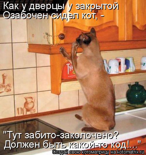 Как у дверцы у закрытой Озабочен сидел кот, - "Тут забито-заколочено? Должен быть какой-то код!..."... Котоматрица: Как у дверцы у закрытой Озабочен сидел кот, - "Тут забито-заколочено? Должен быть какой-то код!..."