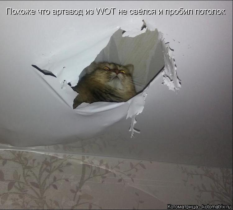 Похоже что артавод из WOT не свёлся и пробил потолок... Котоматрица: Похоже что артавод из WOT не свёлся и пробил потолок