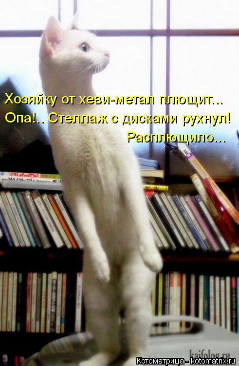Котоматрица: Хозяйку от хеви-метал плющит... Опа!.. Стеллаж с дисками рухнул!  Расплющило...