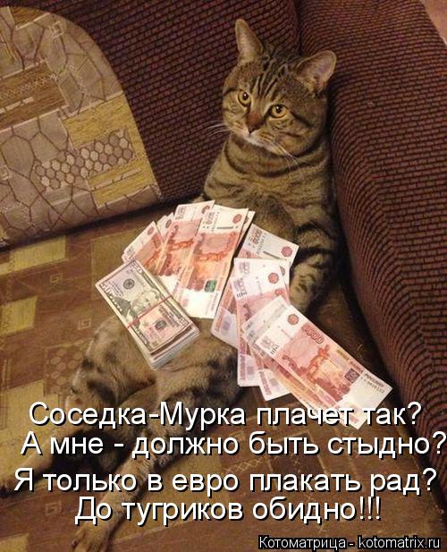 Котоматрица: Соседка-Мурка плачет так? А мне - должно быть стыдно? Я только в евро плакать рад? До тугриков обидно!!!