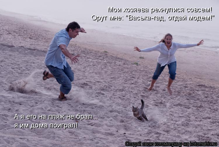 Котоматрица: Мои хозяева рехнулися совсем! Орут мне: "Васька-гад, отдай модем!" А я его на пляж не брал... я им дома поиграл!