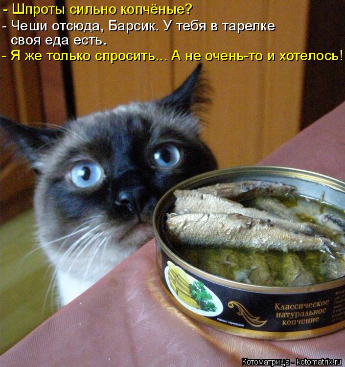 - Шпроты сильно копчёные? - Чеши отсюда, Барсик. У тебя в тарелке своя еда есть. - Я же только спрос... Котоматрица: - Шпроты сильно копчёные? - Чеши отсюда, Барсик. У тебя в тарелке своя еда есть. - Я же только спросить... А не очень-то и хотелось!