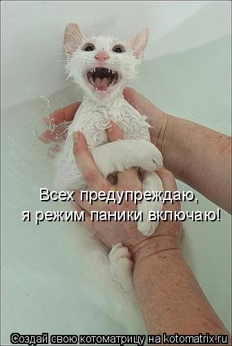 Всех предупреждаю, я режим паники включаю!... Котоматрица: Всех предупреждаю, я режим паники включаю!