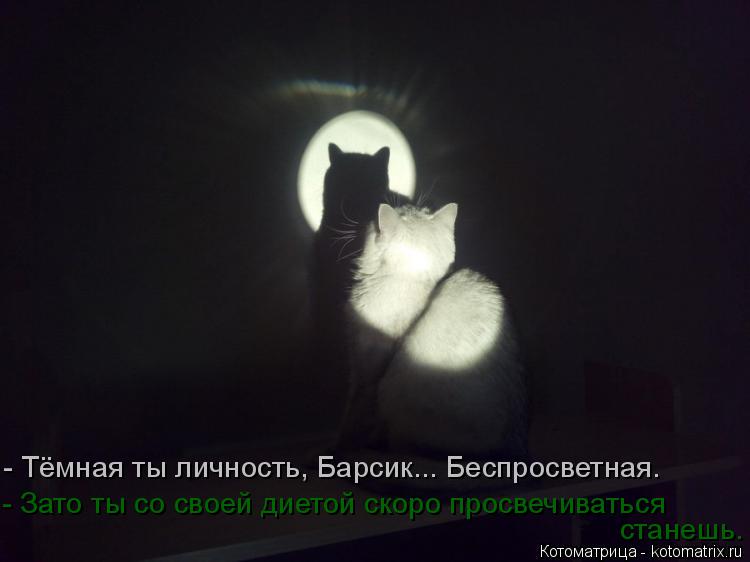 - Тёмная ты личность, Барсик... Беспросветная. - Зато ты со своей диетой скоро просвечиваться стан... Котоматрица: - Тёмная ты личность, Барсик... Беспросветная. - Зато ты со своей диетой скоро просвечиваться станешь.