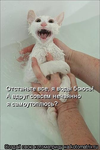 Отстаньте все, я воды боюсь! А вдруг совсем нечаянно я самоутоплюсь?... Котоматрица: Отстаньте все, я воды боюсь! А вдруг совсем нечаянно я самоутоплюсь?