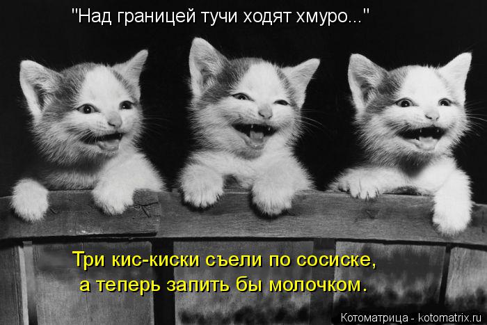 "Над границей тучи ходят хмуро..." Три кис-киски съели по сосиске, а теперь запить бы молочком.... Котоматрица: "Над границей тучи ходят хмуро..." Три кис-киски съели по сосиске, а теперь запить бы молочком.
