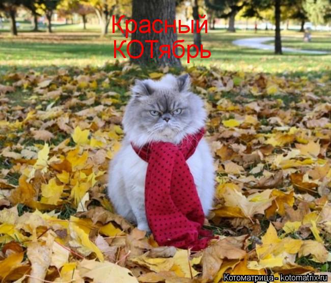 Красный КОТябрь... Котоматрица: Красный КОТябрь