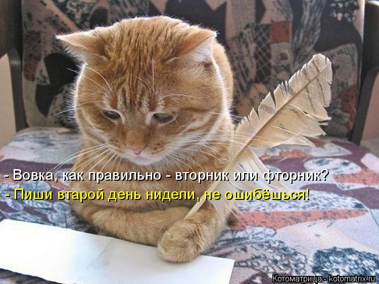 - Вовка, как правильно - вторник или фторник? - Пиши втарой день нидели, не ошибёшься!... Котоматрица: - Вовка, как правильно - вторник или фторник? - Пиши втарой день нидели, не ошибёшься!