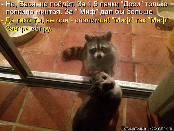 - Не, Вася, не пойдёт. За 1,5 пачки "Доси" только полкило минтая. За " Миф" дал бы больше. - Да тихо ... Котоматрица: - Не, Вася, не пойдёт. За 1,5 пачки "Доси" только полкило минтая. За " Миф" дал бы больше. - Да тихо ты, не ори - спалимся! "Миф" так "Миф". Завтра сопру.