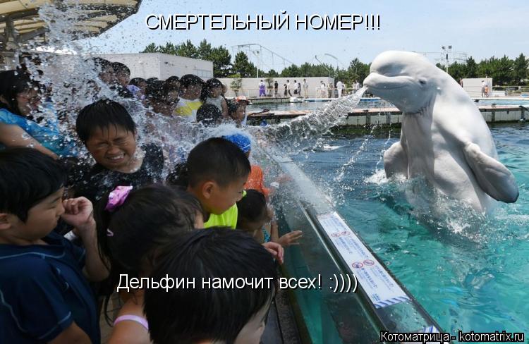 СМЕРТЕЛЬНЫЙ НОМЕР!!! Дельфин намочит всех! :))))... Котоматрица: СМЕРТЕЛЬНЫЙ НОМЕР!!! Дельфин намочит всех! :))))