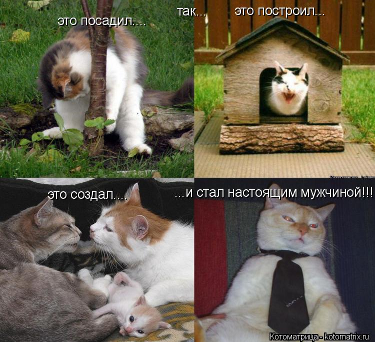 Котоматрица: так... это посадил.... это построил... это создал.... ...и стал настоящим мужчиной!!!