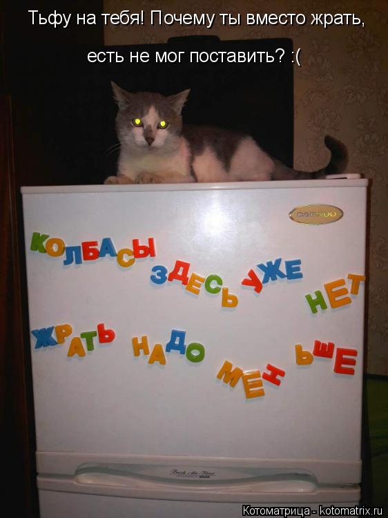 Тьфу на тебя! Почему ты вместо жрать, есть не мог поставить? :(... Котоматрица: Тьфу на тебя! Почему ты вместо жрать, есть не мог поставить? :(