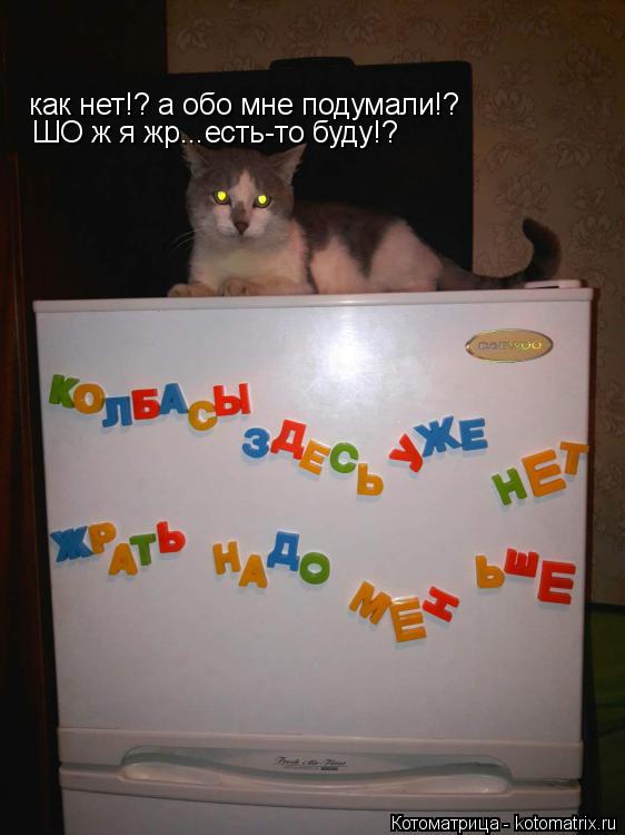 как нет!? а обо мне подумали!? ШО ж я жр...есть-то буду!?... Котоматрица: как нет!? а обо мне подумали!? ШО ж я жр...есть-то буду!?