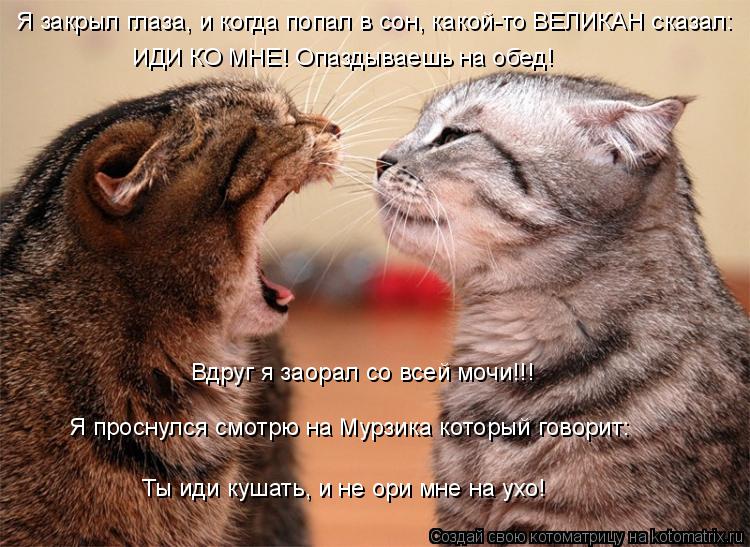 Котоматрица: Я закрыл глаза, и когда попал в сон, какой-то ВЕЛИКАН сказал: ИДИ КО МНЕ! Опаздываешь на обед! Вдруг я заорал со всей мочи!!! Я проснулся смотрю 
