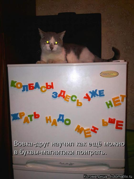 Вовка-друг научил как ещё можно в буквы-магнитики поиграть.... Котоматрица: Вовка-друг научил как ещё можно в буквы-магнитики поиграть.