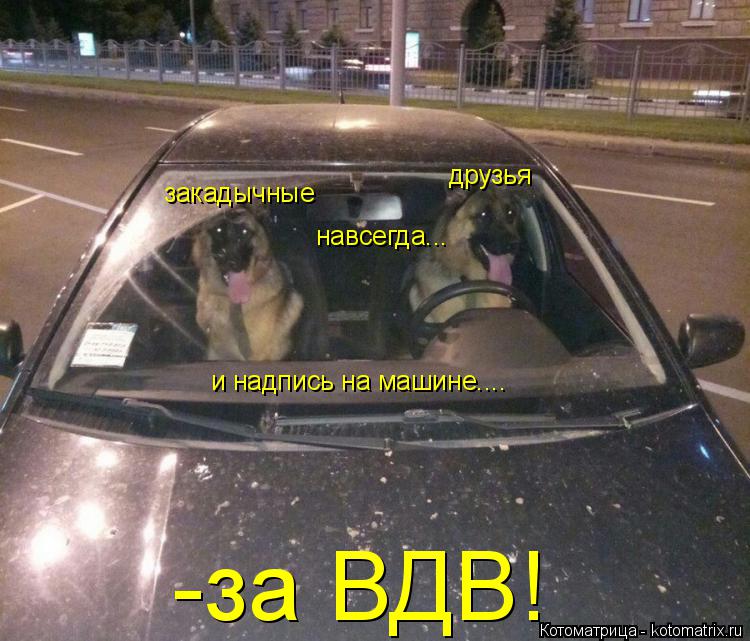 закадычные друзья навсегда... -за ВДВ! и надпись на машине....... Котоматрица: закадычные друзья навсегда... -за ВДВ! и надпись на машине....