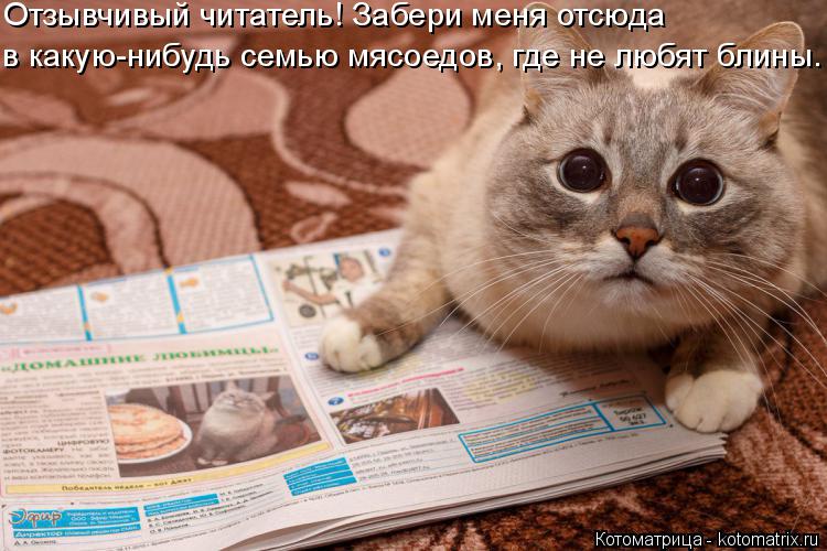 Котоматрица: Отзывчивый читатель! Забери меня отсюда  в какую-нибудь семью мясоедов, где не любят блины.