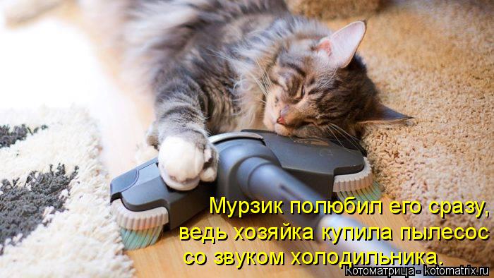 Котоматрица: Мурзик полюбил его сразу,  ведь хозяйка купила пылесос со звуком холодильника.