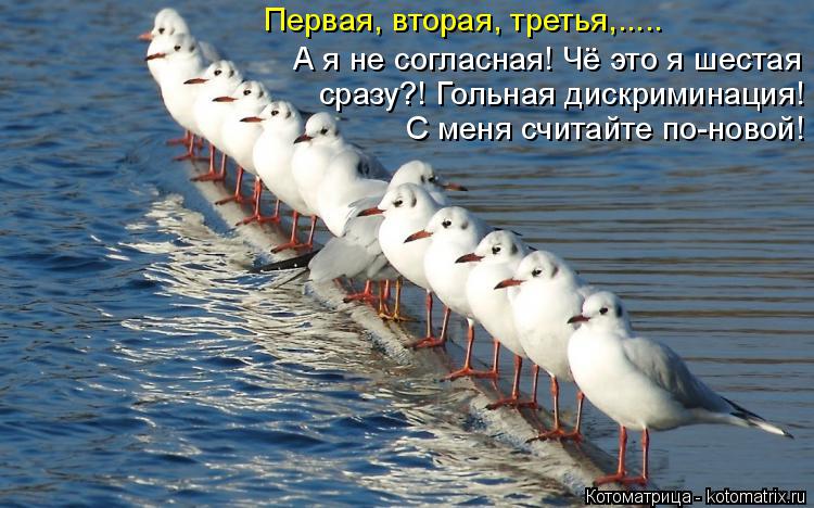 Котоматрица: Первая, вторая, третья,..... А я не согласная! Чё это я шестая сразу?! Гольная дискриминация! С меня считайте по-новой!