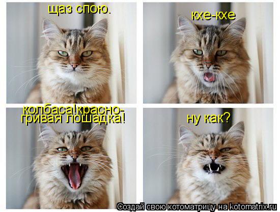 Котоматрица: ну как? кхе-кхе щаз спою. колбаса!красно- гривая лошадка!