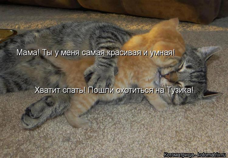 Котоматрица: Мама! Ты у меня самая красивая и умная! Хватит спать! Пошли охотиться на Тузика!