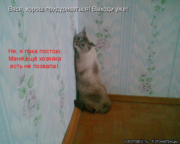 Котоматрица: Вася, хорош придуриваться! Выходи уже! Не, я пока постою... Меня ещё хозяйка    есть не позвала!