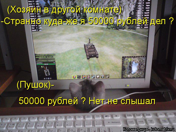 Котоматрица: (Хозяин в другой комнате) -Странно куда-же я 50000 рублей дел ? (Пушок)- 50000 рублей ? Нет не слышал