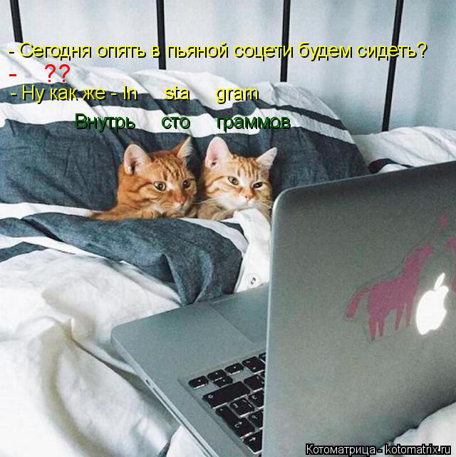 Котоматрица: - Сегодня опять в пьяной соцети будем сидеть? - Ну как же - In     sta     gram      Внутрь     сто     граммов -    ??