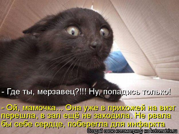 бы себе сердце, поберегла для инфаркта перешла, в зал ещё не заходила. Не рвала - Ой, мамочка... Она ... Котоматрица: бы себе сердце, поберегла для инфаркта перешла, в зал ещё не заходила. Не рвала - Ой, мамочка... Она уже в прихожей на визг - Где ты, мерзавец?!!! Н