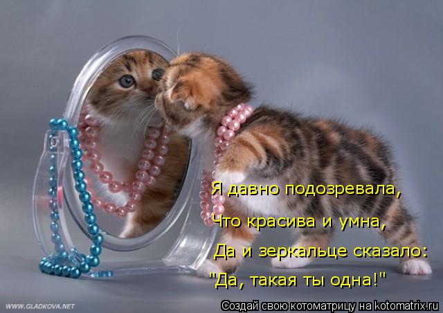 "Да, такая ты одна!" Да и зеркальце сказало: Что красива и умна, Я давно подозревала,... Котоматрица: "Да, такая ты одна!" Да и зеркальце сказало: Что красива и умна, Я давно подозревала,