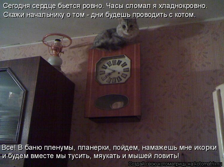 Котоматрица: Сегодня сердце бьется ровно. Часы сломал я хладнокровно. Скажи начальнику о том - дни будешь проводить с котом. Все! В баню пленумы, планерки,