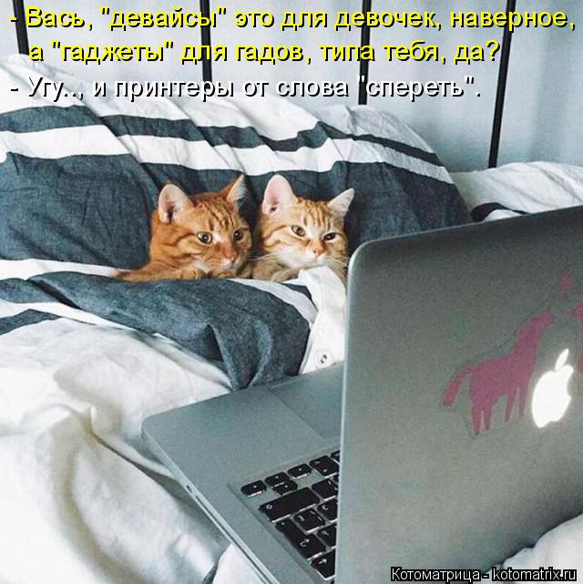 Котоматрица: - Вась, "девайсы" это для девочек, наверное,  а "гаджеты" для гадов, типа тебя, да? - Угу.., и принтеры от слова "спереть".
