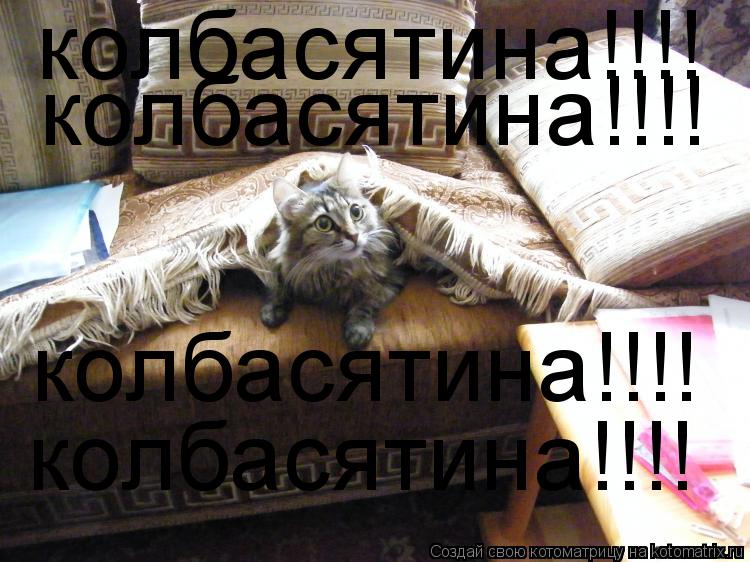 Котоматрица: колбасятина!!!! колбасятина!!!! колбасятина!!!! колбасятина!!!!
