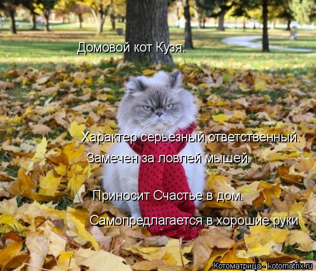 Характер серьезный,ответственный. Приносит Счастье в дом. Замечен за ловлей мышей. Домовой кот Кузя.... Котоматрица: Характер серьезный,ответственный. Приносит Счастье в дом. Замечен за ловлей мышей. Домовой кот Кузя. Самопредлагается в хорошие руки