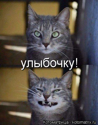 улыбочку!... Котоматрица: улыбочку!