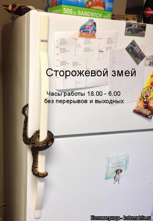 Сторожевой змей Часы работы 18.00 - 6.00 без перерывов и выходных... Котоматрица: Сторожевой змей Часы работы 18.00 - 6.00 без перерывов и выходных