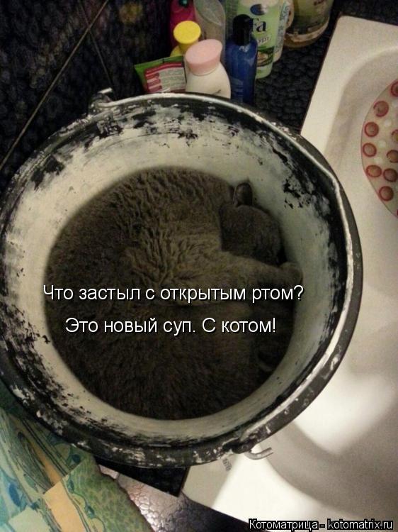 Что застыл с открытым ртом? Это новый суп. С котом!... Котоматрица: Что застыл с открытым ртом? Это новый суп. С котом!