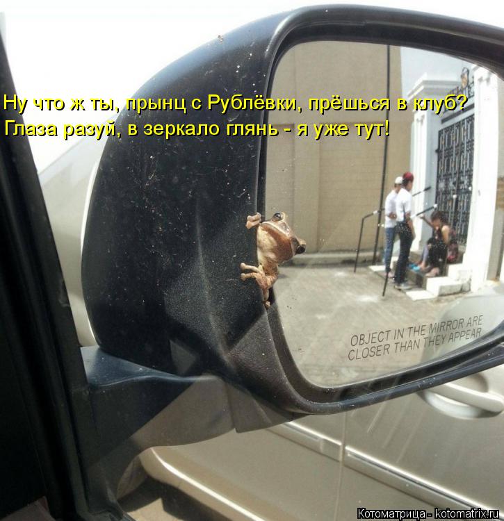Ну что ж ты, прынц с Рублёвки, прёшься в клуб? Глаза разуй, в зеркало глянь - я уже тут!... Котоматрица: Ну что ж ты, прынц с Рублёвки, прёшься в клуб? Глаза разуй, в зеркало глянь - я уже тут!