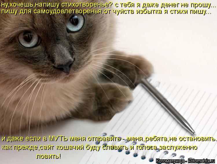 ну,хочешь,напишу стихотворенье? с тебя я даже денег не прошу... пишу для самоудовлетворенья,от чуйств... Котоматрица: ну,хочешь,напишу стихотворенье? с тебя я даже денег не прошу... пишу для самоудовлетворенья,от чуйств избытка я стихи пишу... и даже если в МУТ