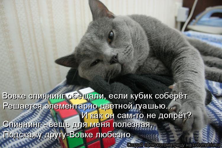 Вовке спиннинг обещали, если кубик соберёт Решается элементарно цветной гуашью... И как он сам-то не... Котоматрица: Вовке спиннинг обещали, если кубик соберёт Решается элементарно цветной гуашью... И как он сам-то не допрёт? Спиннинг - вещь для меня полезна