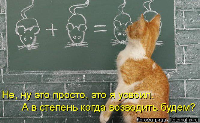 Не, ну это просто, это я усвоил. А в степень когда возводить будем?... Котоматрица: Не, ну это просто, это я усвоил. А в степень когда возводить будем?