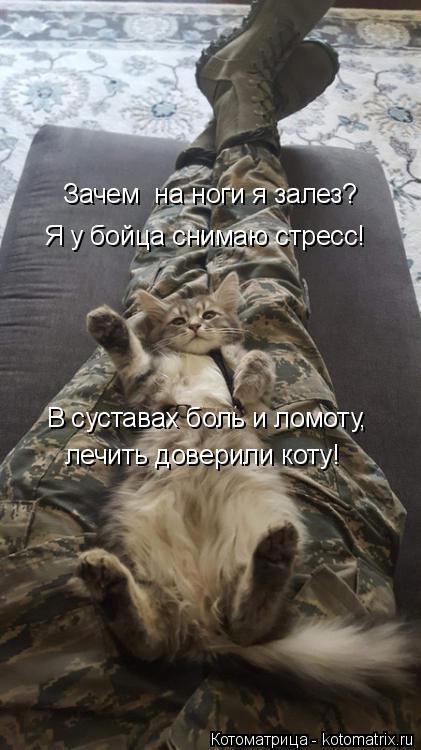 Зачем на ноги я залез? Я у бойца снимаю стресс! В суставах боль и ломоту, лечить доверили коту!... Котоматрица: Зачем на ноги я залез? Я у бойца снимаю стресс! В суставах боль и ломоту, лечить доверили коту!