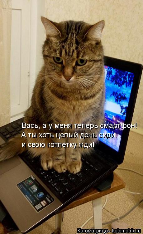 Вась, а у меня теперь смартфон! А ты хоть целый день сиди... и свою котлетку жди!... Котоматрица: Вась, а у меня теперь смартфон! А ты хоть целый день сиди... и свою котлетку жди!