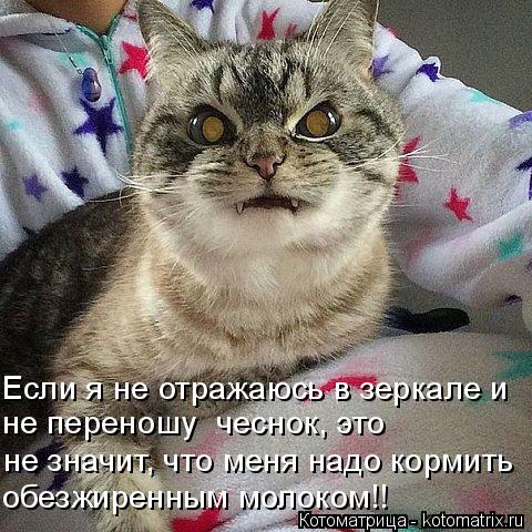 Если я не отражаюсь в зеркале и не переношу чеснок, это не значит, что меня надо кормить обезжиренны... Котоматрица: Если я не отражаюсь в зеркале и не переношу чеснок, это не значит, что меня надо кормить обезжиренным молоком!!
