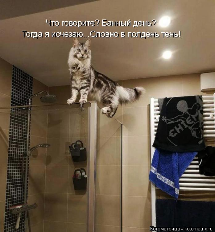 Тогда я исчезаю...Словно в полдень тень! Что говорите? Банный день?... Котоматрица: Тогда я исчезаю...Словно в полдень тень! Что говорите? Банный день?