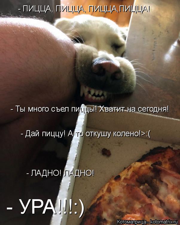 - ПИЦЦА, ПИЦЦА, ПИЦЦА,ПИЦЦА! - Ты много съел пиццы! Хватит на сегодня! - Дай пиццу! А то откушу колен... Котоматрица: - ПИЦЦА, ПИЦЦА, ПИЦЦА,ПИЦЦА! - Ты много съел пиццы! Хватит на сегодня! - Дай пиццу! А то откушу колено!>:( - ЛАДНО! ЛАДНО! - УРА!!!:)